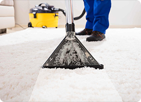 Dust-Free Home Solutions